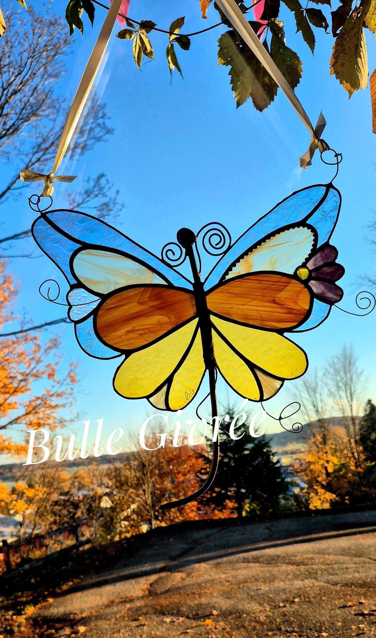 Papillon capteur de lumière